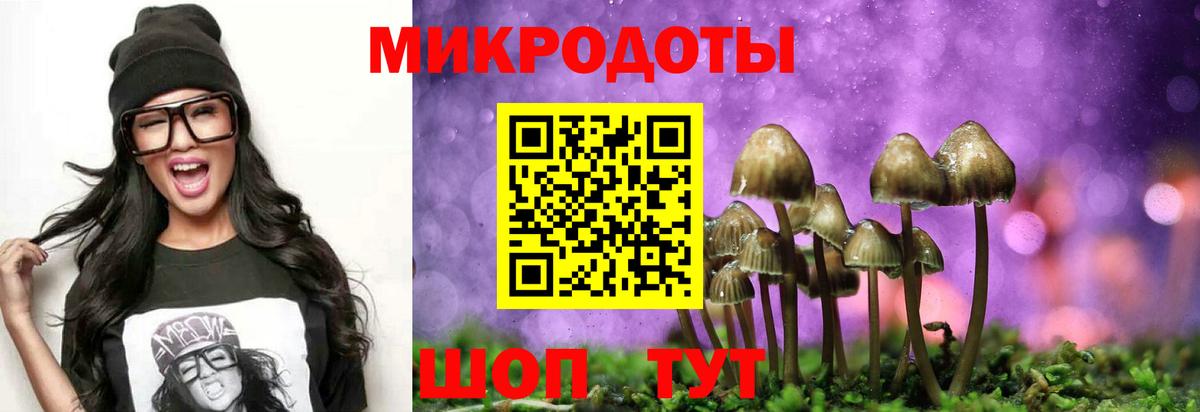 Галлюциногенные грибы Psilocybine cubensis  Псилоцибиновые грибы прущие грибы  Вход с VPN  Кимры 
